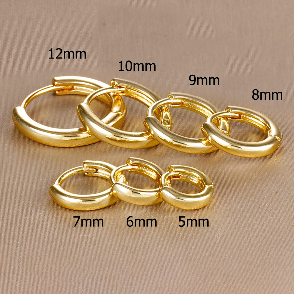 Pure Shine Earrings